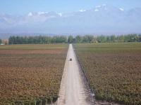 Bodega Catena Zapata, Mendoza Argentine